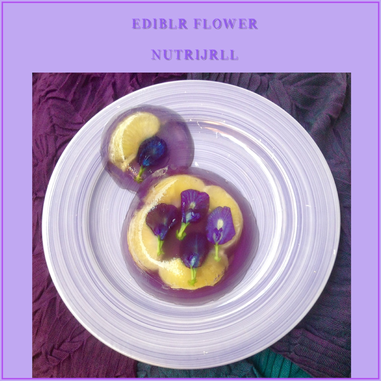  Resep  Edible  Flower  Nutrijell